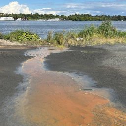 Жители Долгопрудного получили доказательства загрязнения Клязьминского водохранилища